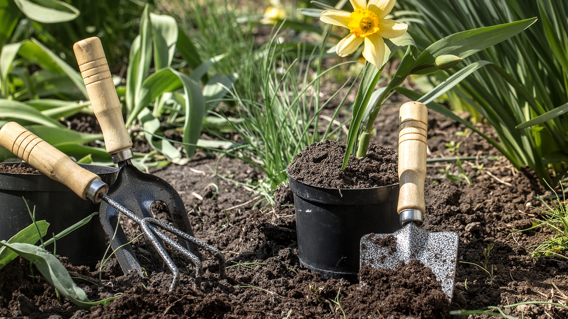 Jardinería de guerrilla: Qué es y cómo puedes contribuir