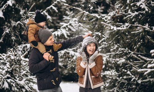 Actividades para Disfrutar con Niños en Invierno y Navidad