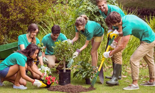 Jardinería de guerrilla: Qué es y cómo puedes contribuir