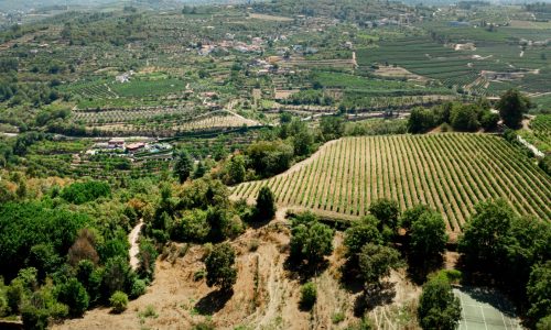 lugares-historicos-la-rioja